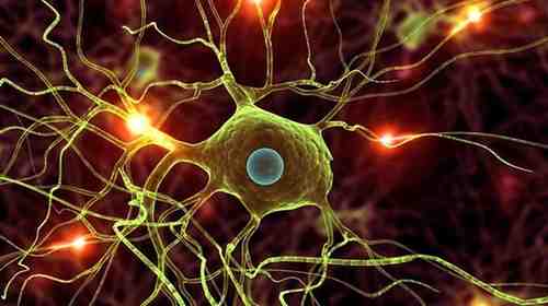 Data Science Modern Deep Learning in Python